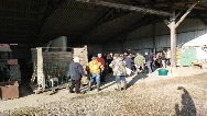 IMG_20250301_092459.jpg