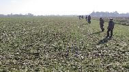 IMG_20250301_100623.jpg