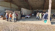 IMG_20250301_092441.jpg