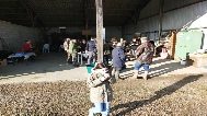IMG_20250301_092437.jpg